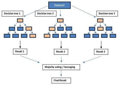 Identifying biomarkers for tDCS treatment response in Alzheimer’s disease patients: a machine learning approach using resting-state EEG classification